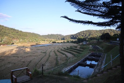 บริเวณโดยรอบ