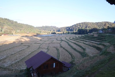 บริเวณโดยรอบ