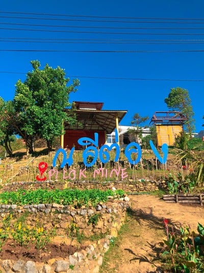 หนาวแรกปีนี้เริ่มที่กาญจนบุรีทริป 