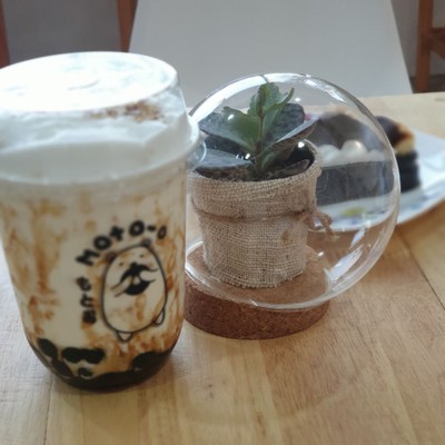 นมสดไข่มุกบราวน์ชูการ์ (มีไข่มุกในแก้ว)