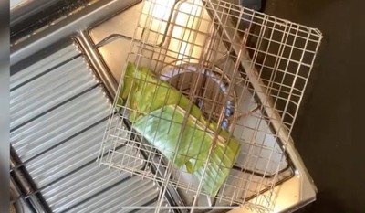 วิธีทำ น้ำพริกกะปิ วิธีทำ น้ำพริกกะปิ