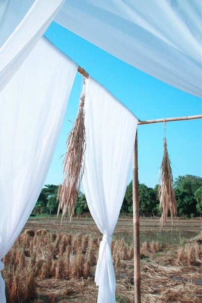 สวนดอกไม้ลุงนพป้าปวน