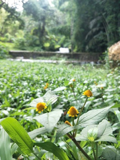 (กิน+วิ่ง+เที่ยว) ภูเก็ต 2 วัน 1 คืน แว๊นมอไซต์เที่ยว