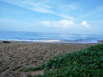 (กิน+วิ่ง+เที่ยว) ภูเก็ต 2 วัน 1 คืน แว๊นมอไซต์เที่ยว