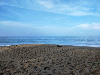 (กิน+วิ่ง+เที่ยว) ภูเก็ต 2 วัน 1 คืน แว๊นมอไซต์เที่ยว