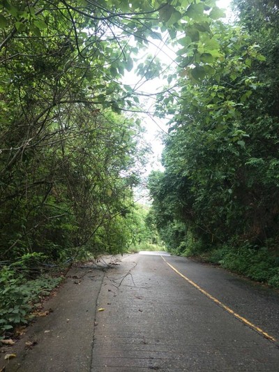 (กิน+วิ่ง+เที่ยว) ภูเก็ต 2 วัน 1 คืน แว๊นมอไซต์เที่ยว