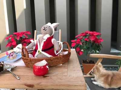 บรรยากาศดี เจ้าของ พนักงาน ยิ้มแย้ม น่ารัก ต้อนรับดีมากๆ ประทับใจค่ะ