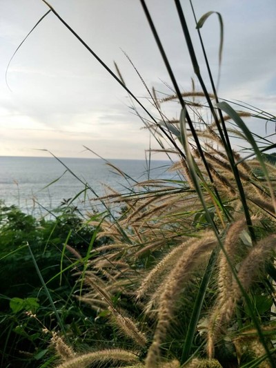 (กิน+วิ่ง+เที่ยว) ภูเก็ต 2 วัน 1 คืน แว๊นมอไซต์เที่ยว