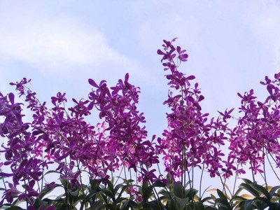 (กิน+วิ่ง+เที่ยว) ภูเก็ต 2 วัน 1 คืน แว๊นมอไซต์เที่ยว