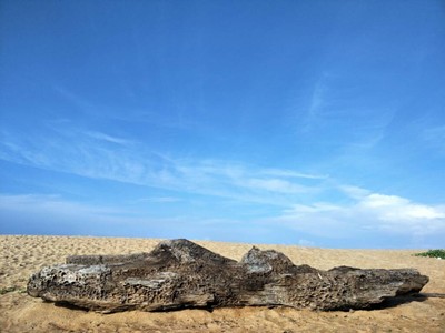 (กิน+วิ่ง+เที่ยว) ภูเก็ต 2 วัน 1 คืน แว๊นมอไซต์เที่ยว