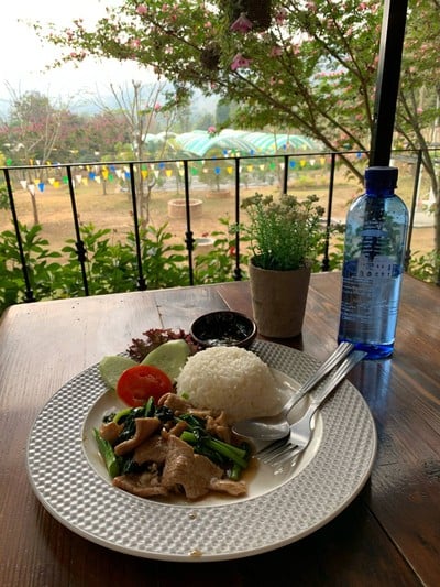 ข้าวคะน้าน้ำมันหอย