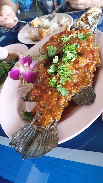 ปลากระพงสามรส