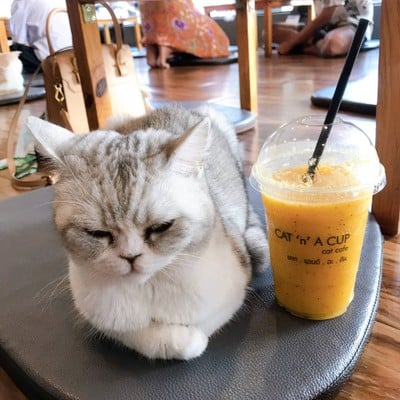 เสาวรสปั่น