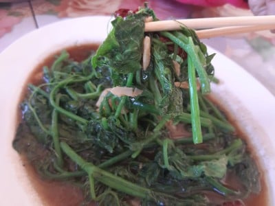 ผัดยอดมะระหวาน