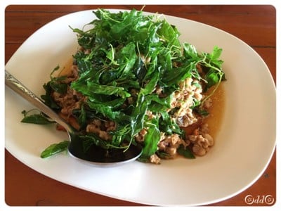 ไข่เยี่ยวม้ากะเพรากรอบ