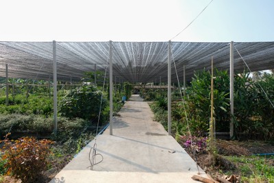 Hidden Gems in Samut Sakhon