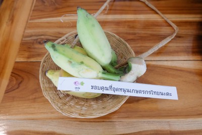 Hidden Gems in Samut Sakhon