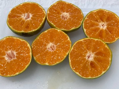 วิธีทำ Orange Coffee วิธีทำ Orange Coffee
