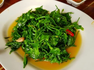 ผักหวานผัดน้ำมันหอย