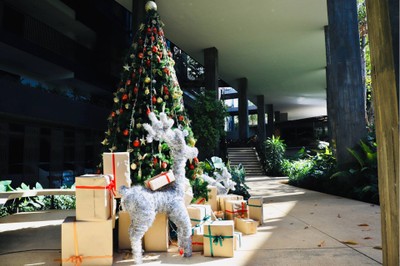 บริเวณโดยรอบ