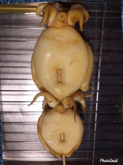 กระดองไม่คู่