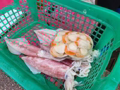 ปลาหมึกย่าง