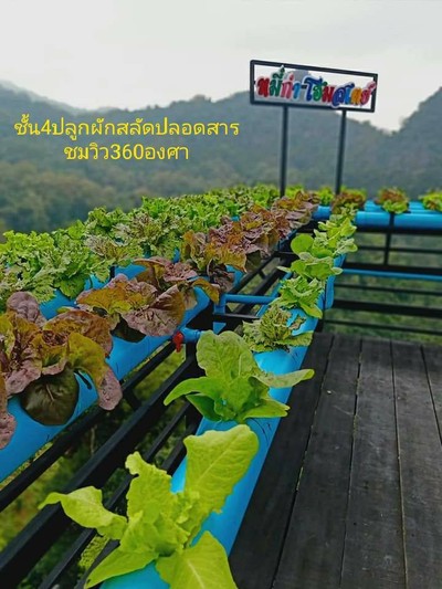 วิวนอกห้อง