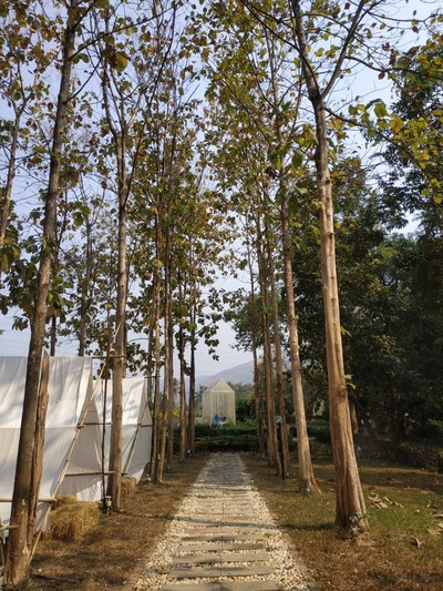 บรรยากาศ