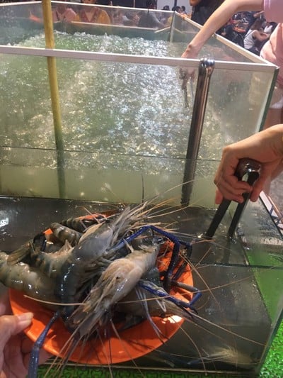 กุ้งแม่น้ำเป็นตัวใหญ่