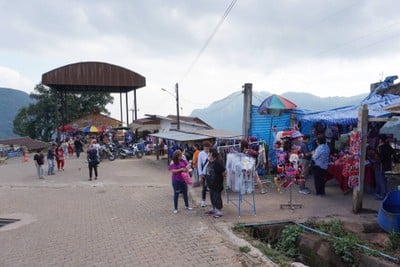 เที่ยวฟาร์มเฟสติวัล - ดอยตุง - ผาฮี้ - ขุนน้ำนางนอน