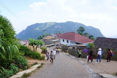 เที่ยวฟาร์มเฟสติวัล - ดอยตุง - ผาฮี้ - ขุนน้ำนางนอน