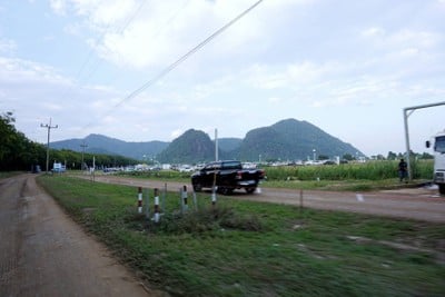 เที่ยวฟาร์มเฟสติวัล - ดอยตุง - ผาฮี้ - ขุนน้ำนางนอน