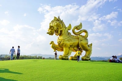 เที่ยวฟาร์มเฟสติวัล - ดอยตุง - ผาฮี้ - ขุนน้ำนางนอน