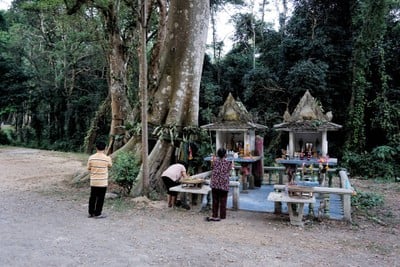 เที่ยวฟาร์มเฟสติวัล - ดอยตุง - ผาฮี้ - ขุนน้ำนางนอน