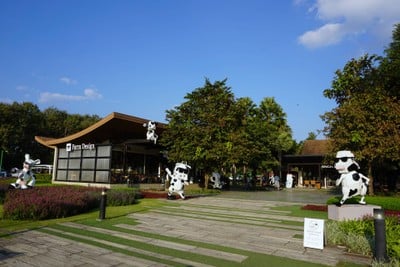 เที่ยวฟาร์มเฟสติวัล - ดอยตุง - ผาฮี้ - ขุนน้ำนางนอน