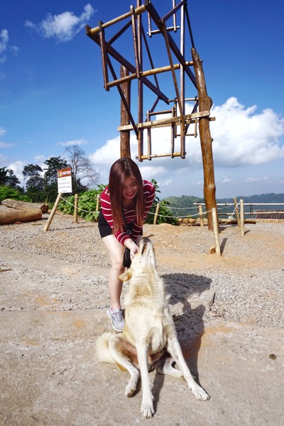 เที่ยวฟาร์มเฟสติวัล - ดอยตุง - ผาฮี้ - ขุนน้ำนางนอน