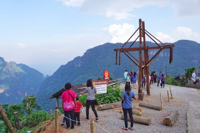 เที่ยวฟาร์มเฟสติวัล - ดอยตุง - ผาฮี้ - ขุนน้ำนางนอน