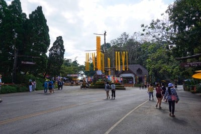 เที่ยวฟาร์มเฟสติวัล - ดอยตุง - ผาฮี้ - ขุนน้ำนางนอน