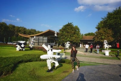 เที่ยวฟาร์มเฟสติวัล - ดอยตุง - ผาฮี้ - ขุนน้ำนางนอน