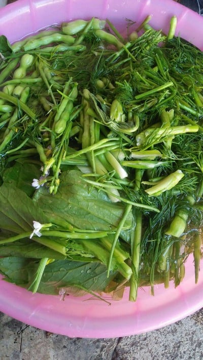 แกงผักกาดจ้อนผักขี้หูด