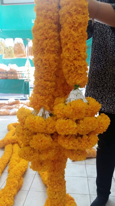 พิเศษชาย