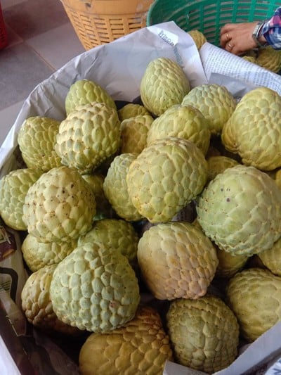 น้อยหน่า เพชรปากช่อง