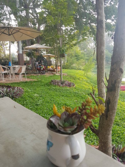 บรรยากาศ