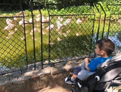 One Day Trip @ Guangzhou Zoo