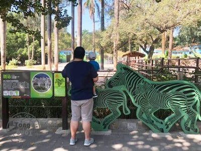 One Day Trip @ Guangzhou Zoo