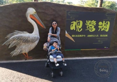 One Day Trip @ Guangzhou Zoo