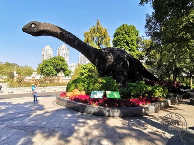 ตงตงชอบไดโนเสาร์มากๆ