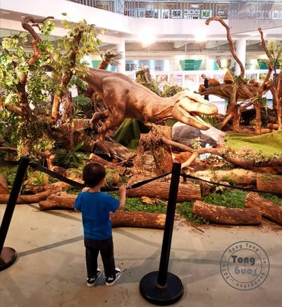ตงตงชอบไดโนเสาร์มากๆ