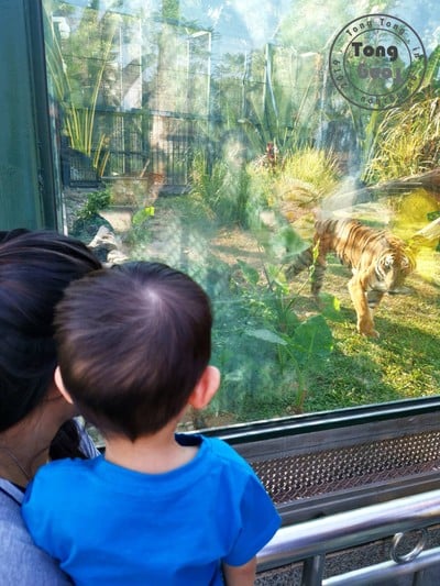 One Day Trip @ Guangzhou Zoo