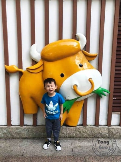 One Day Trip @ Guangzhou Zoo